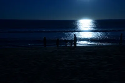 DSC_1178 (Large).JPG